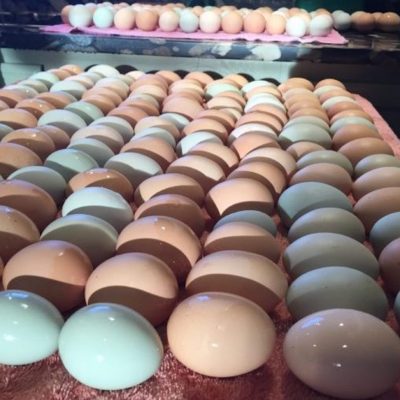 Selling Eggs